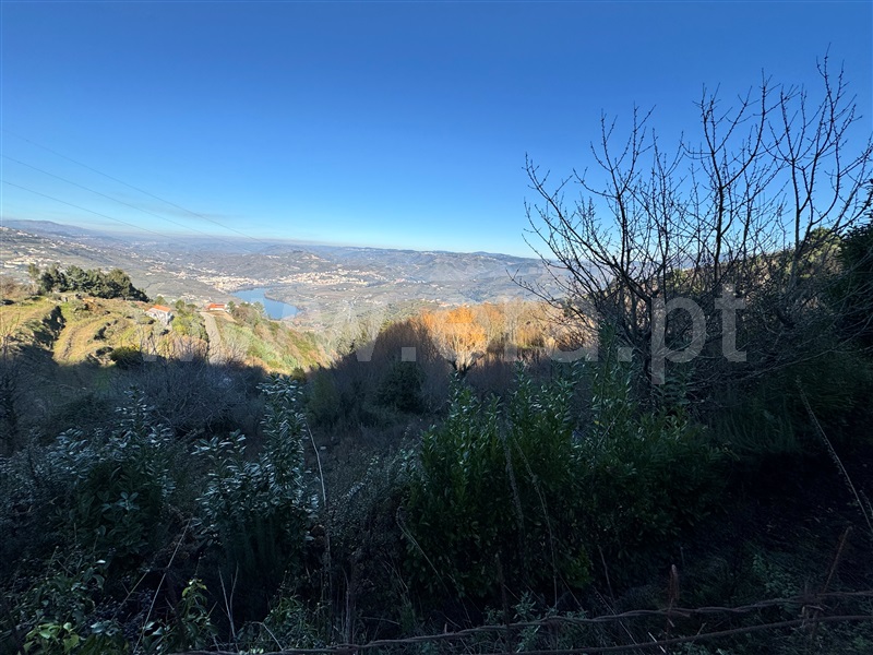 Terreno  Lamego, Cambres - 1459895 - 18