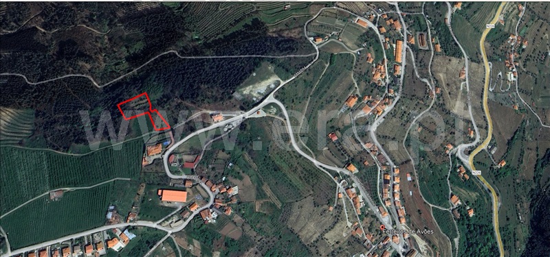 Terreno / Lamego, Ferreiros de Avões