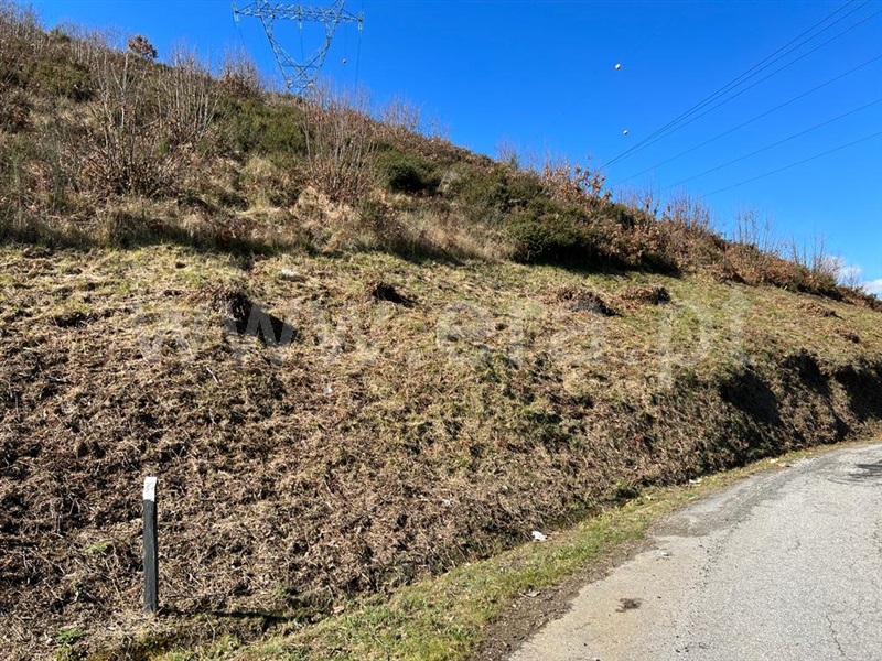 Terreno  Lamego, Avões - 1227053 - 1