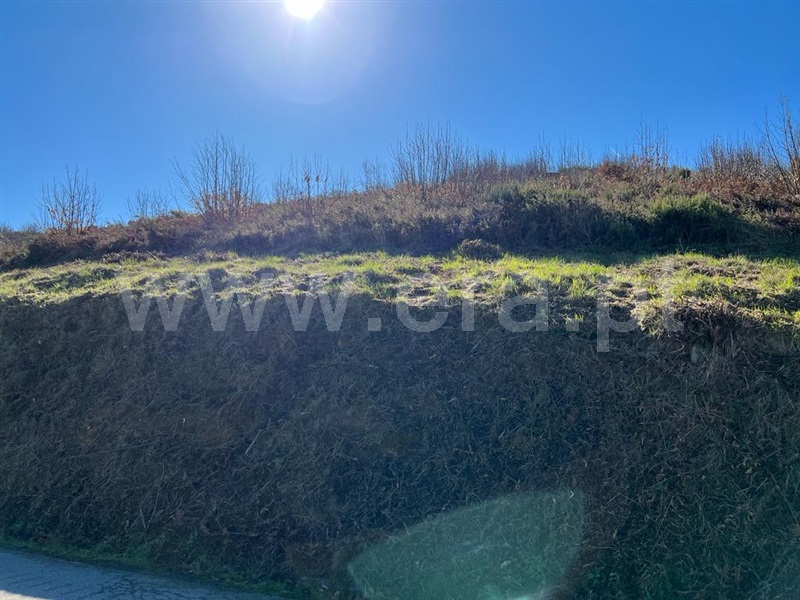 Terreno  Lamego, Avões - 1227053 - 2