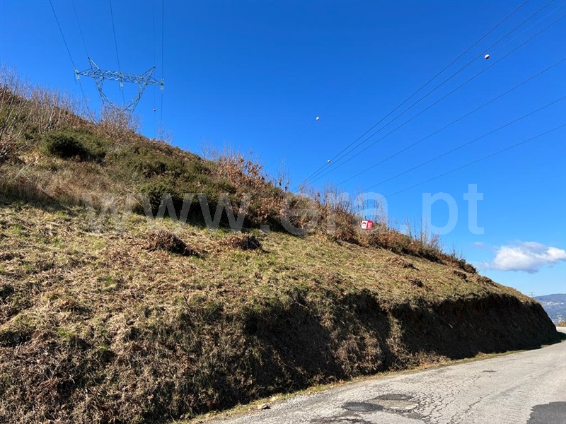 Terreno / Lamego, Penajóia