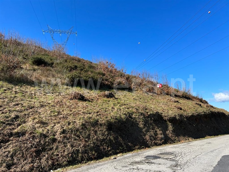 Terreno  Lamego, Avões - 1227053 - 4