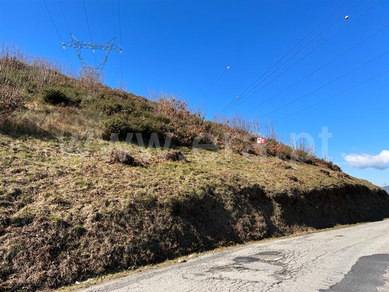 Terreno  Lamego, Avões - 1227053 - 5