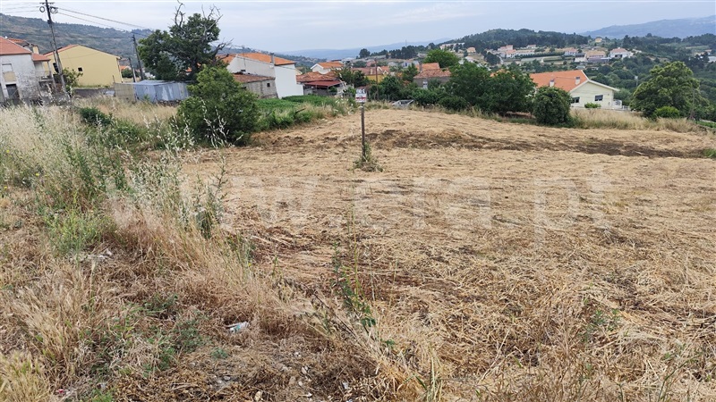 Terreno  Lamego, Penude - 1490398 - 2