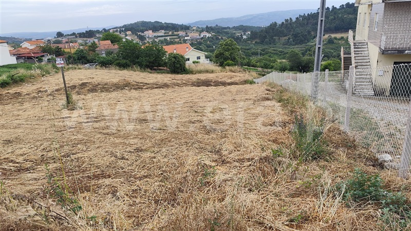 Terreno  Lamego, Penude - 1490398 - 3