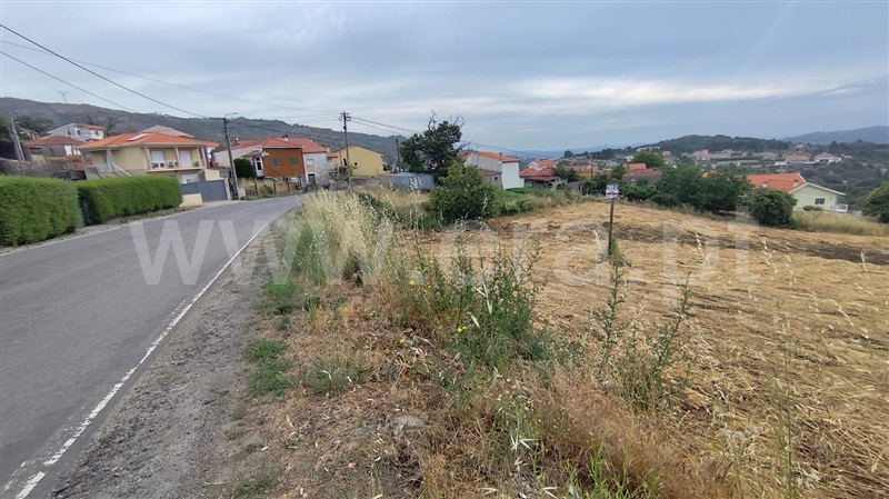 Terreno  Lamego, Penude - 1490398 - 4