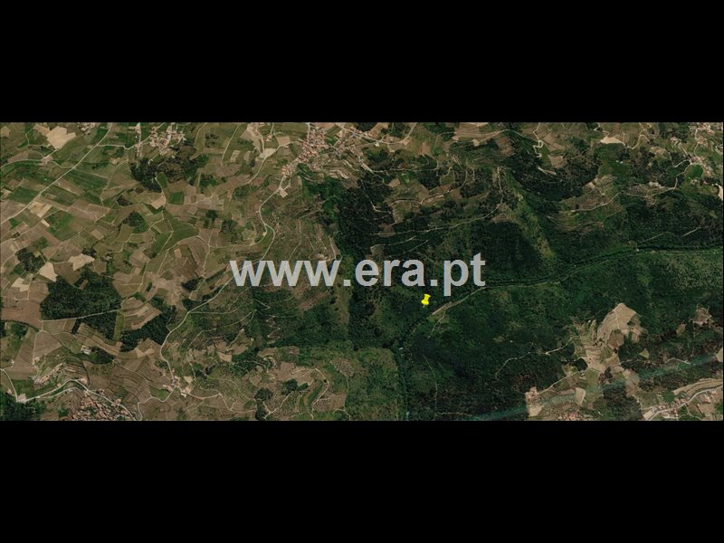 Terreno / Lamego, Várzea de Abrunhais