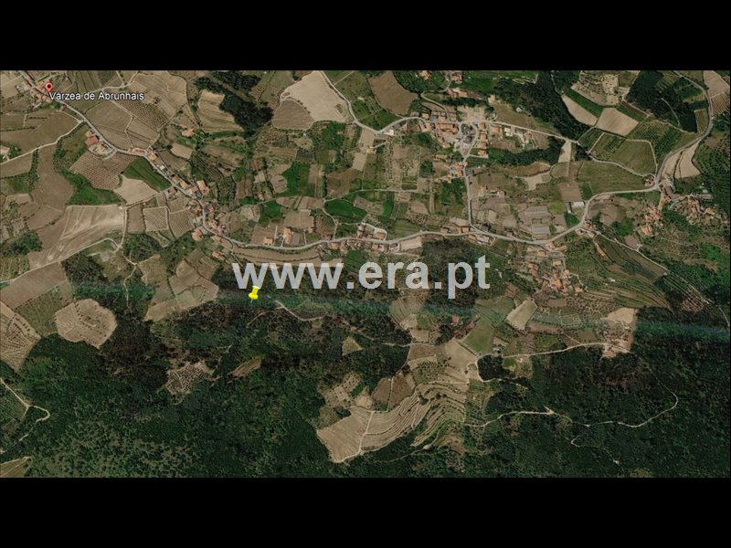 Terreno / Lamego, Várzea de Abrunhais