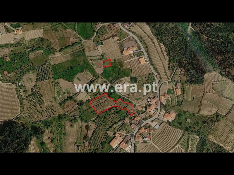 Terreno / Lamego, Várzea de Abrunhais