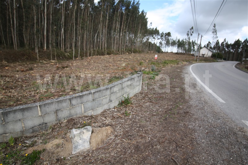 Terreno  com Agrícola Leiria, Boavista - 1234000 - 2