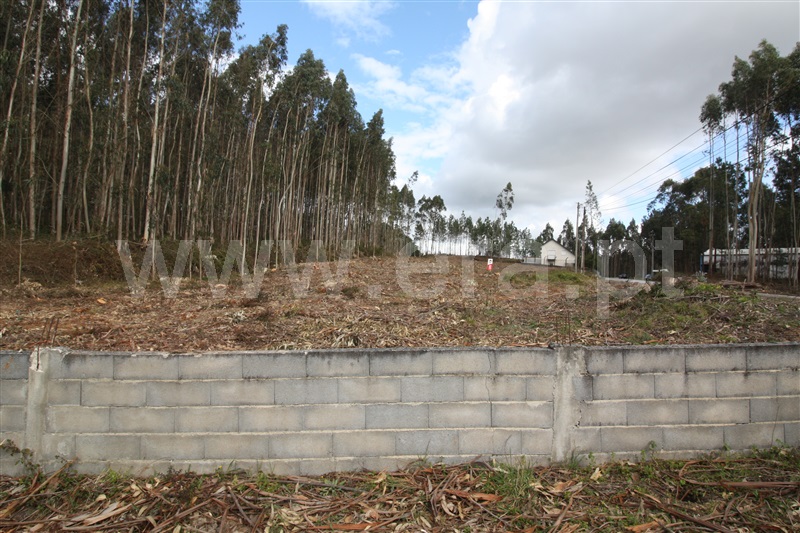 Terreno  com Agrícola Leiria, Boavista - 1234000 - 3