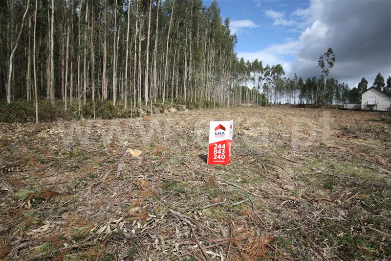 Terreno / Leiria, Boavista