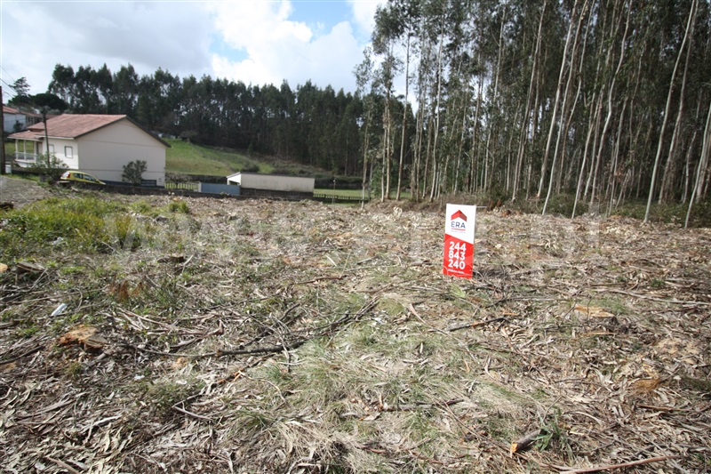 Terreno  com Agrícola Leiria, Boavista - 1234000 - 7