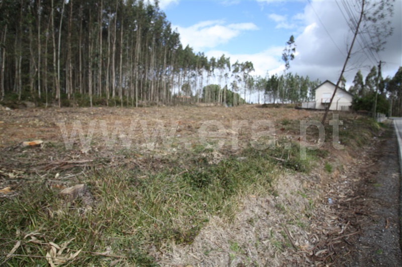 Terreno  com Agrícola Leiria, Boavista - 1234000 - 8
