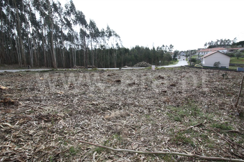 Terreno  com Agrícola Leiria, Boavista - 1234000 - 16