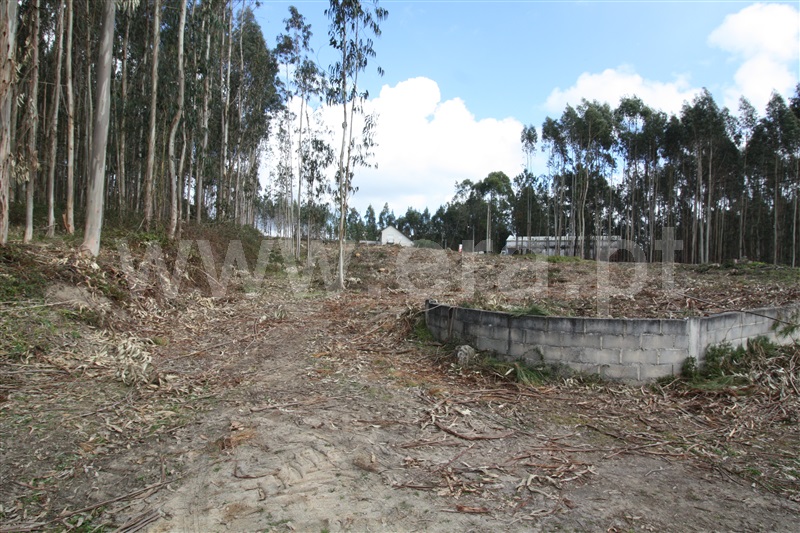 Terreno  com Agrícola Leiria, Boavista - 1234000 - 17