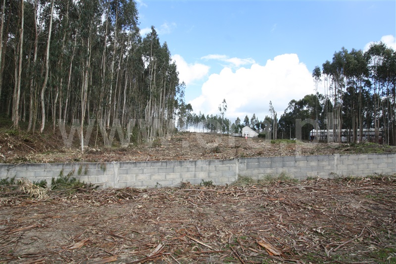 Terreno  com Agrícola Leiria, Boavista - 1234000 - 18
