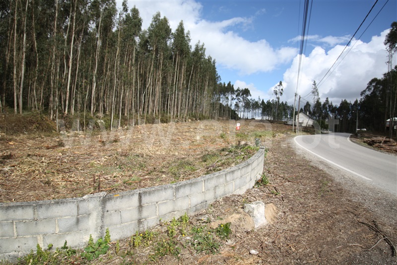 Terreno  com Agrícola Leiria, Boavista - 1234000 - 19