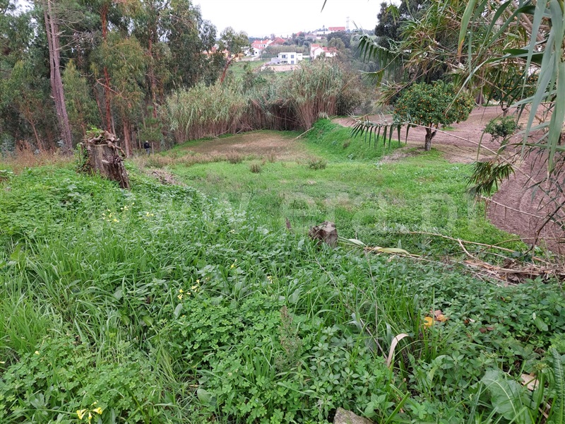 Terreno  Leiria, Campo Amarelo e Azabucho - 1369923 - 3