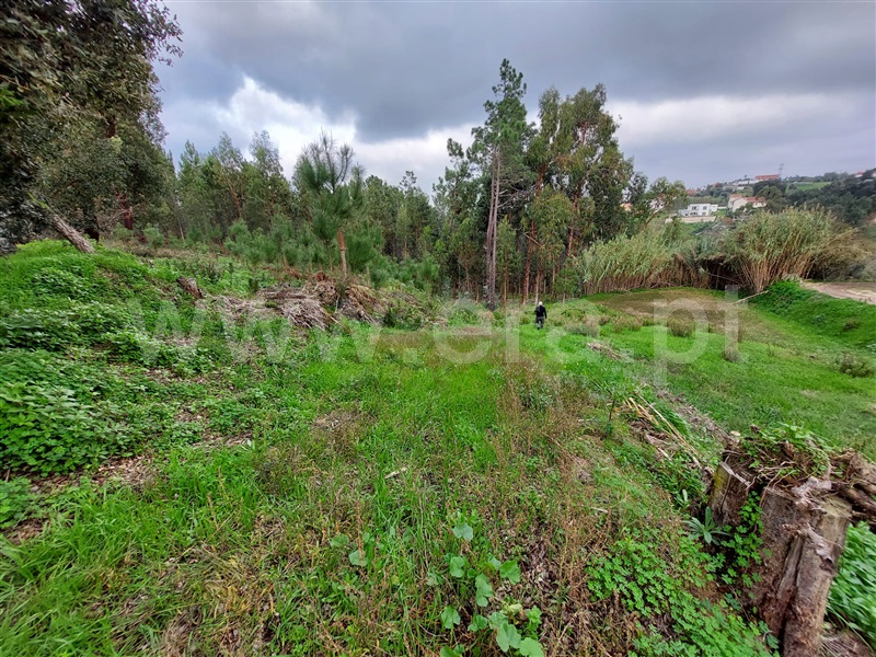 Terreno  Leiria, Campo Amarelo e Azabucho - 1369923 - 4