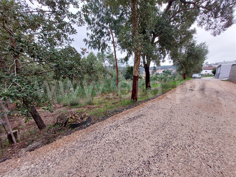 Terreno  Leiria, Campo Amarelo e Azabucho - 1369923 - 5