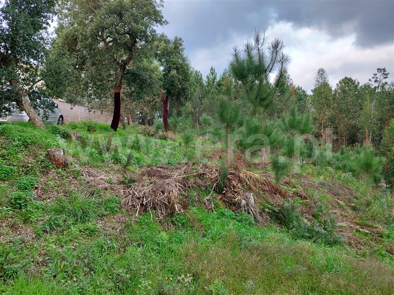 Terreno  Leiria, Campo Amarelo e Azabucho - 1369923 - 6