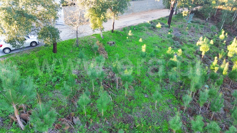 Terreno  Leiria, Campo Amarelo e Azabucho - 1369923 - 8
