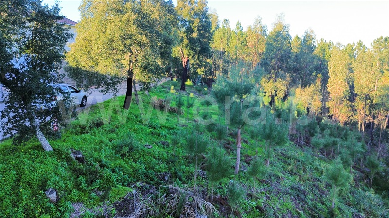 Terreno  Leiria, Campo Amarelo e Azabucho - 1369923 - 9