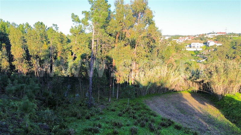 Terreno  Leiria, Campo Amarelo e Azabucho - 1369923 - 10