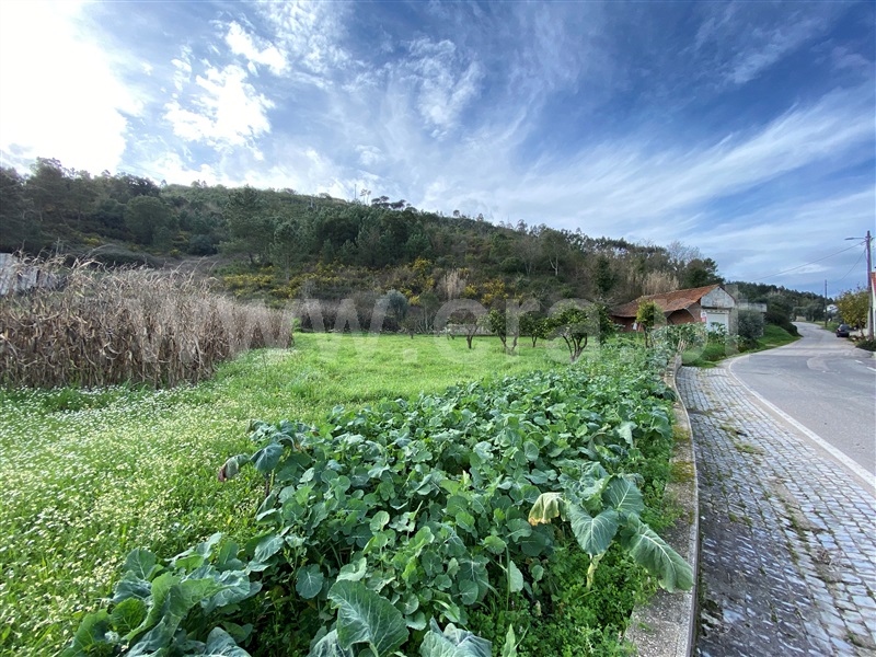 Terreno / Leiria, Caranguejeira