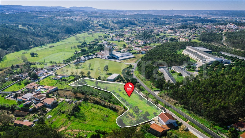 Terreno / Leiria, Milagres