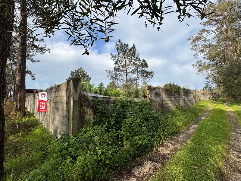Terreno  Leiria, Monte Redondo e Carreira - 1461892 - 24