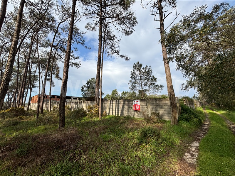 Terreno / Leiria, Monte Redondo e Carreira
