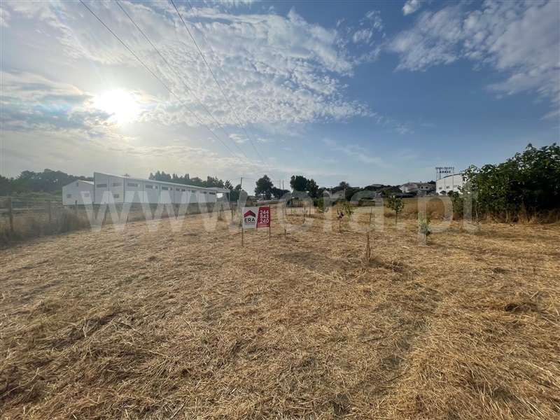 Terreno / Leiria, Parceiros e Azoia