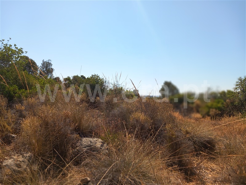 Terreno  Loulé, São Lourenço - 1502925 - 6