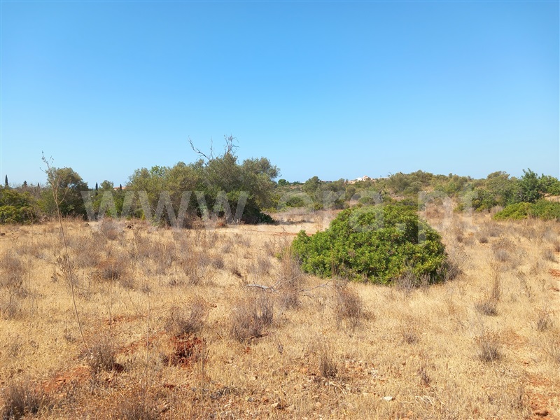 Terreno  Loulé, São Lourenço - 1502925 - 7