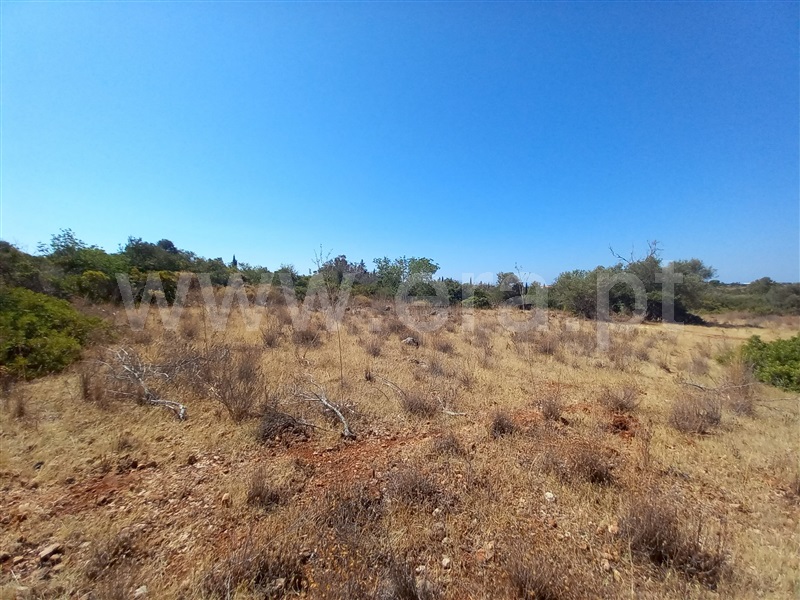 Terreno  Loulé, São Lourenço - 1502925 - 8