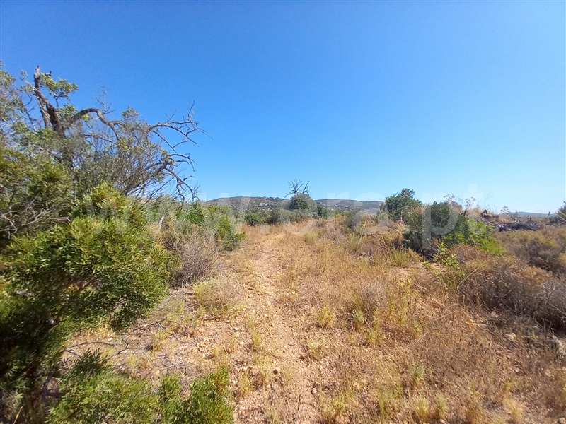 Terreno  Loulé, São Lourenço - 1502925 - 10