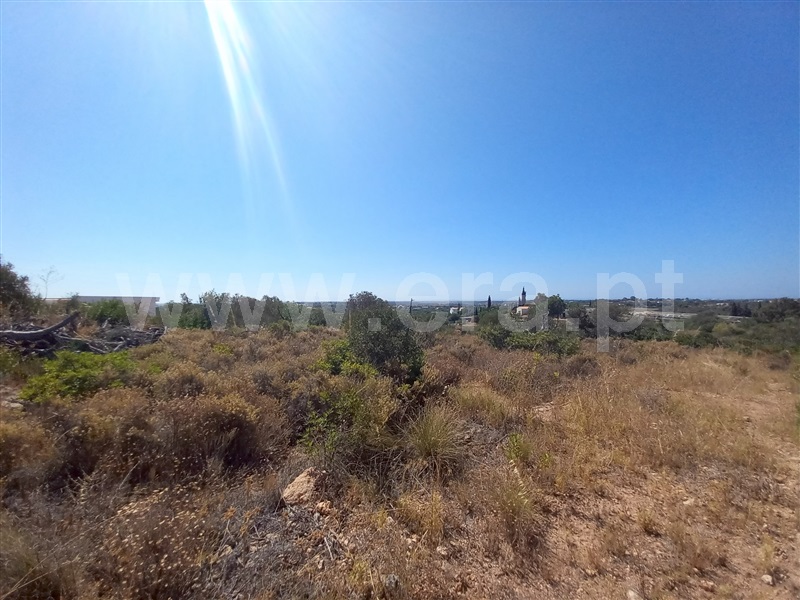 Terreno  Loulé, São Lourenço - 1502925 - 11