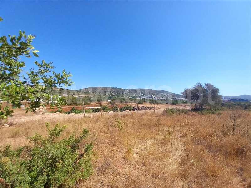 Terreno  Loulé, São Lourenço - 1502925 - 12
