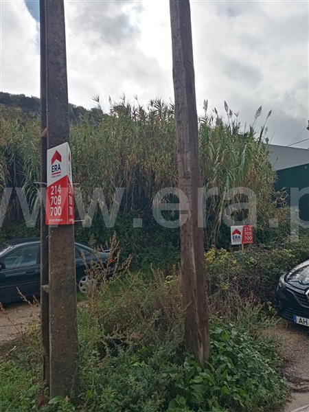 Terreno  Loures, Camarate, Unhos e Apelação - 1389706 - 6
