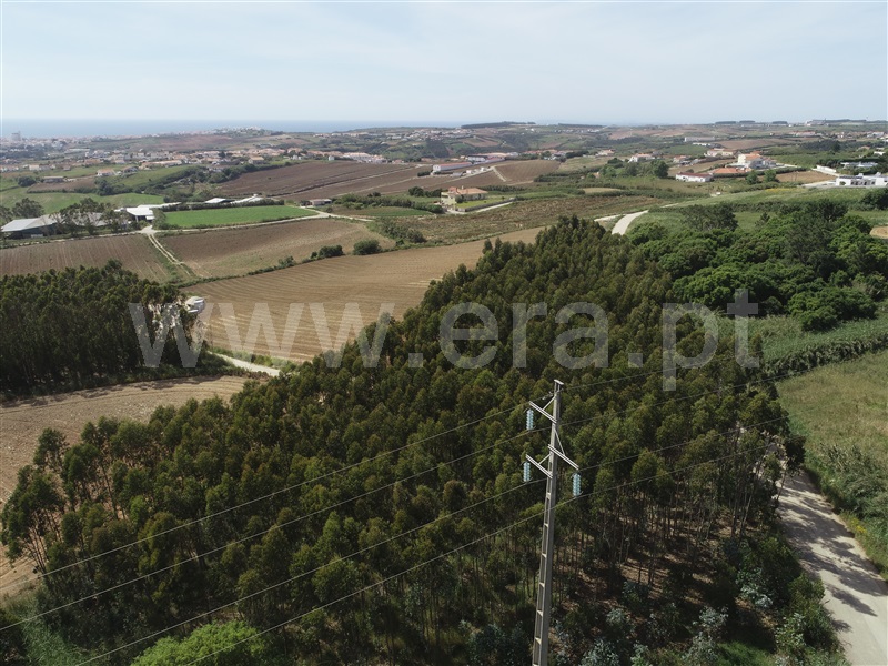 Terreno / Lourinhã, Lourinhã e Atalaia