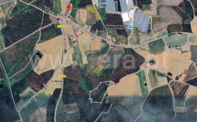 Terreno / Lourinhã, Lourinhã e Atalaia