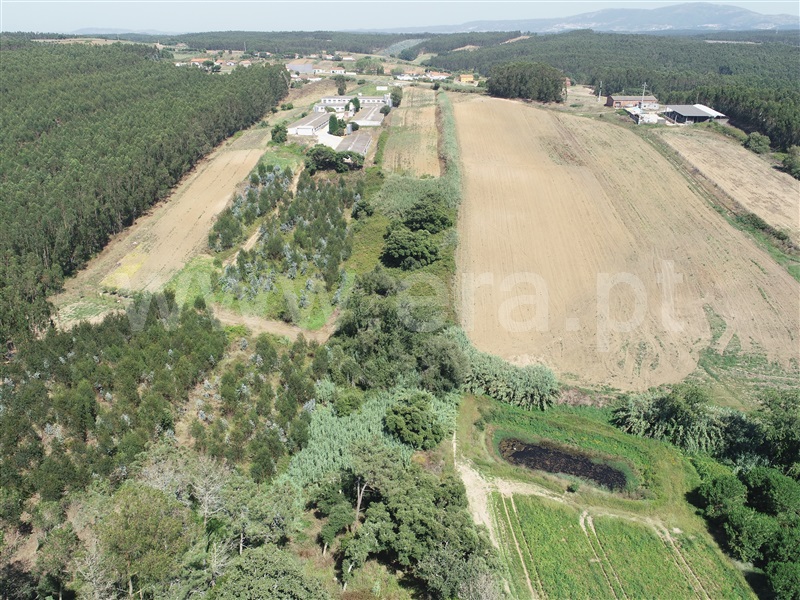 Terreno  Lourinhã, Moita dos Ferreiros - 1421336 - 9