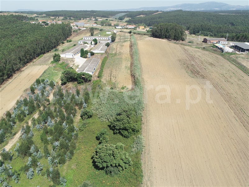 Terreno  Lourinhã, Moita dos Ferreiros - 1421336 - 10