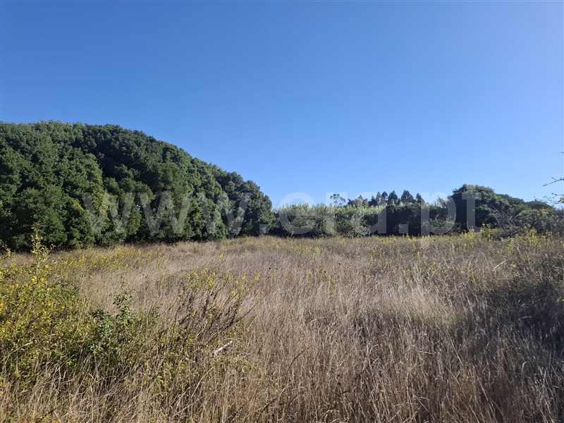 Terreno Rústico  Lourinhã, Reguengo Grande - 1509545 - 2