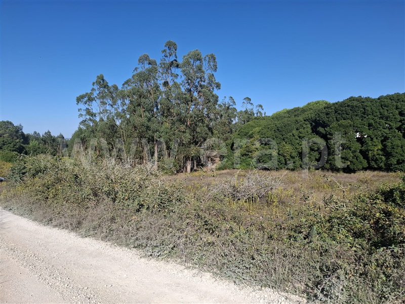 Terreno Rústico  Lourinhã, Reguengo Grande - 1509545 - 4