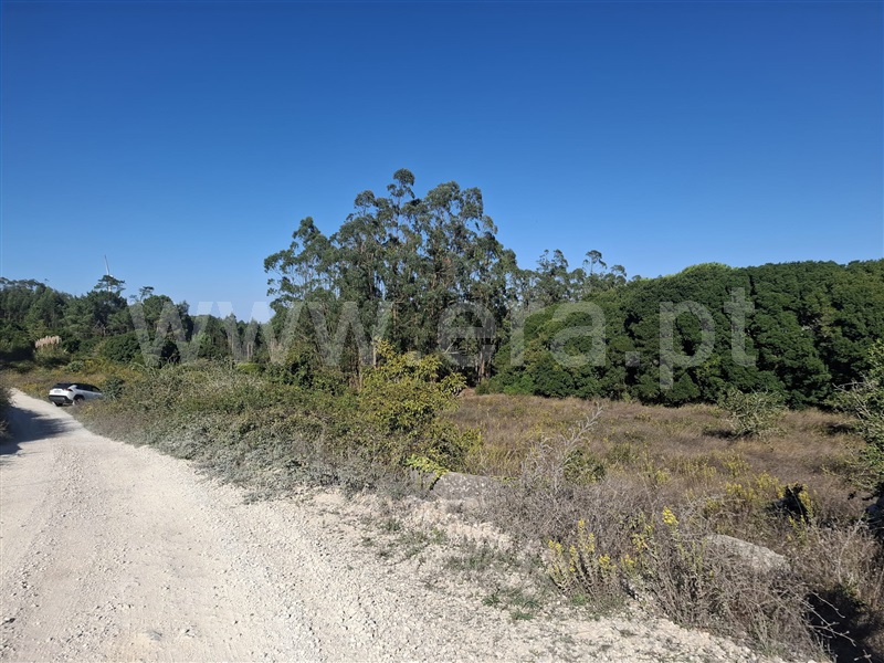 Terreno Rústico  Lourinhã, Reguengo Grande - 1509545 - 5