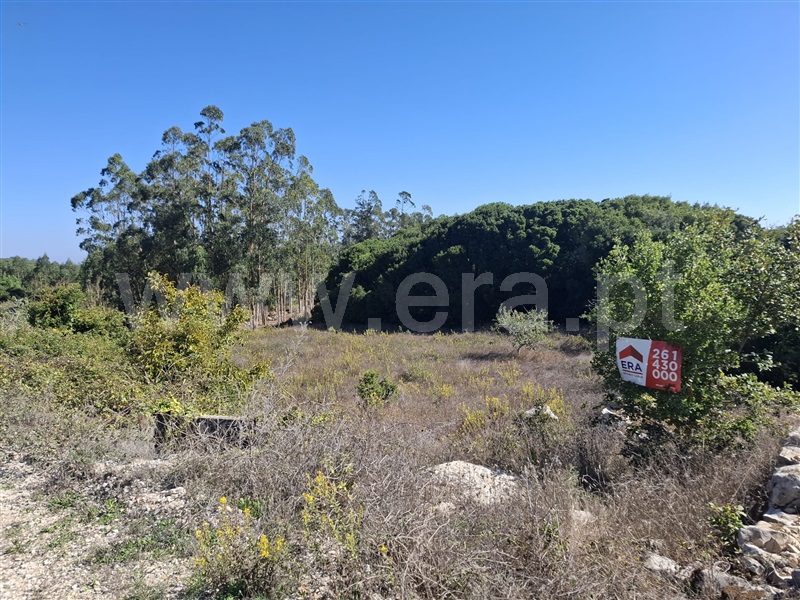 Terreno Rústico / Lourinhã, Reguengo Grande