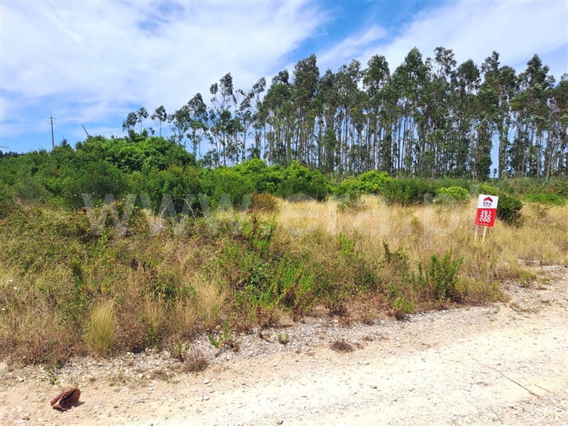 Terreno / Lourinhã, Reguengo Grande
